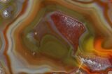 Colorful, Polished Condor Agate Section - Argentina #145528-1